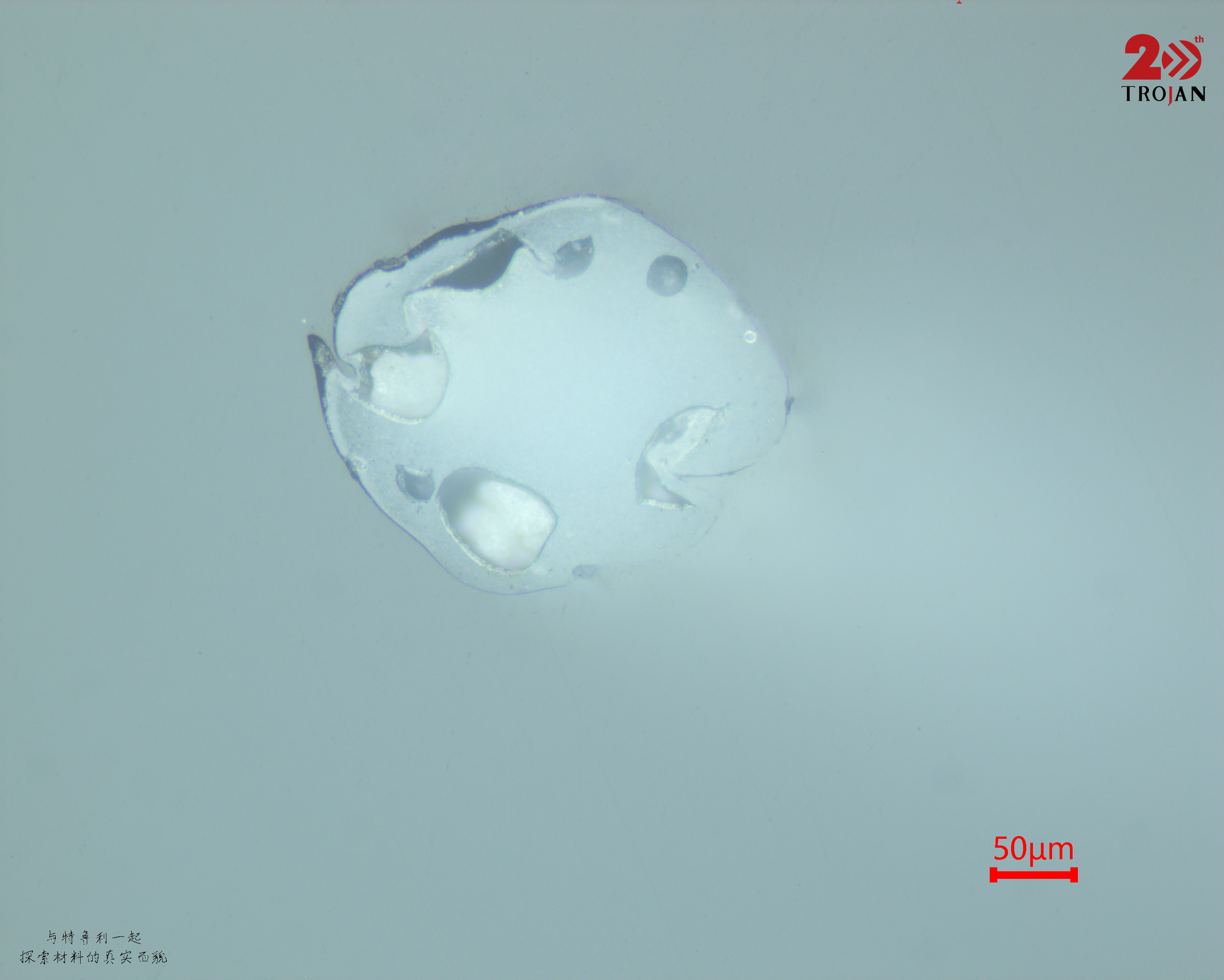 Polished cross-section specimen outcome